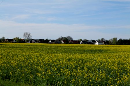 Notte-Niederung 2021-05-09 73