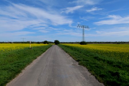 Notte-Niederung 2021-05-09 65