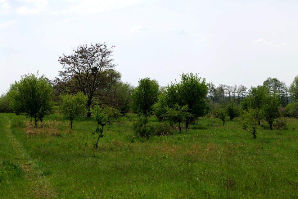 Notte-Niederung 2021-05-11 101