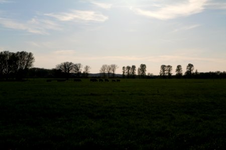 Notte-Niederung 2021-05-09 99