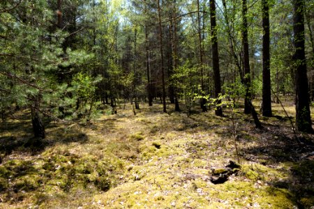 Notte-Niederung 2021-05-09 01