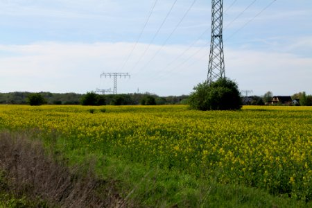 Notte-Niederung 2021-05-09 72
