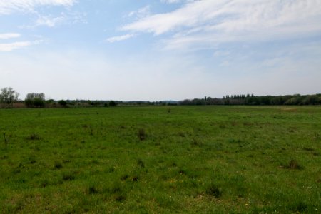 Notte-Niederung 2021-05-11 92