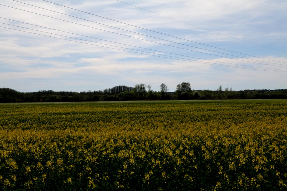 Notte-Niederung 2021-05-09 69