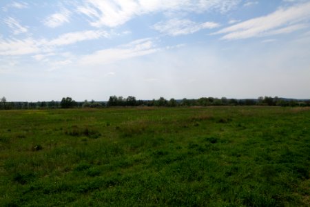 Notte-Niederung 2021-05-11 112