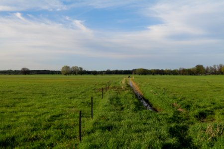 Notte-Niederung 2021-05-09 98