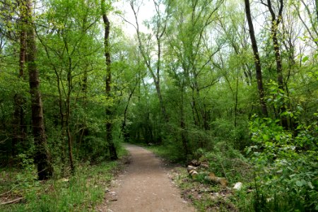 Notte-Niederung 2021-05-11 68