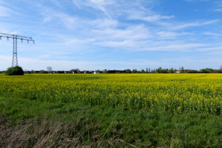 Notte-Niederung 2021-05-09 71
