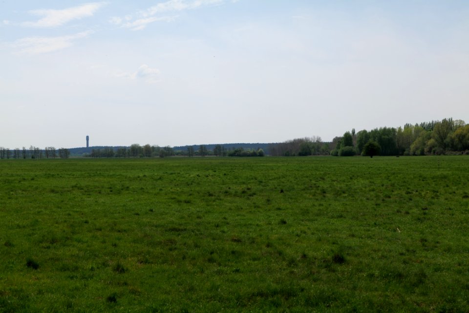 Notte-Niederung 2021-05-11 89