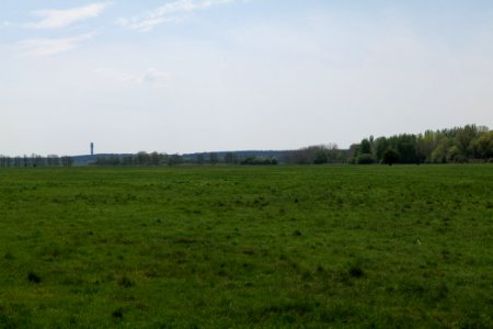 Notte-Niederung 2021-05-11 89
