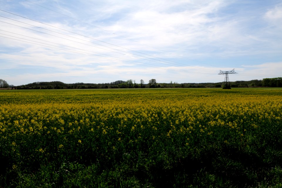 Notte-Niederung 2021-05-09 66