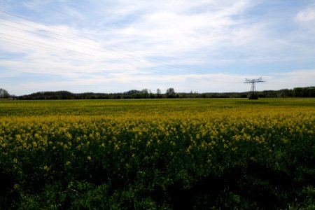 Notte-Niederung 2021-05-09 66