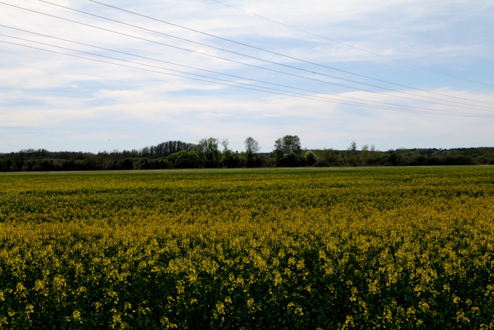 Notte-Niederung 2021-05-09 68