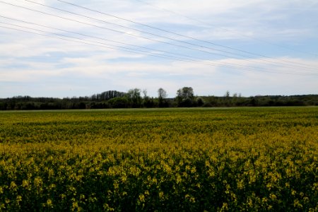 Notte-Niederung 2021-05-09 68