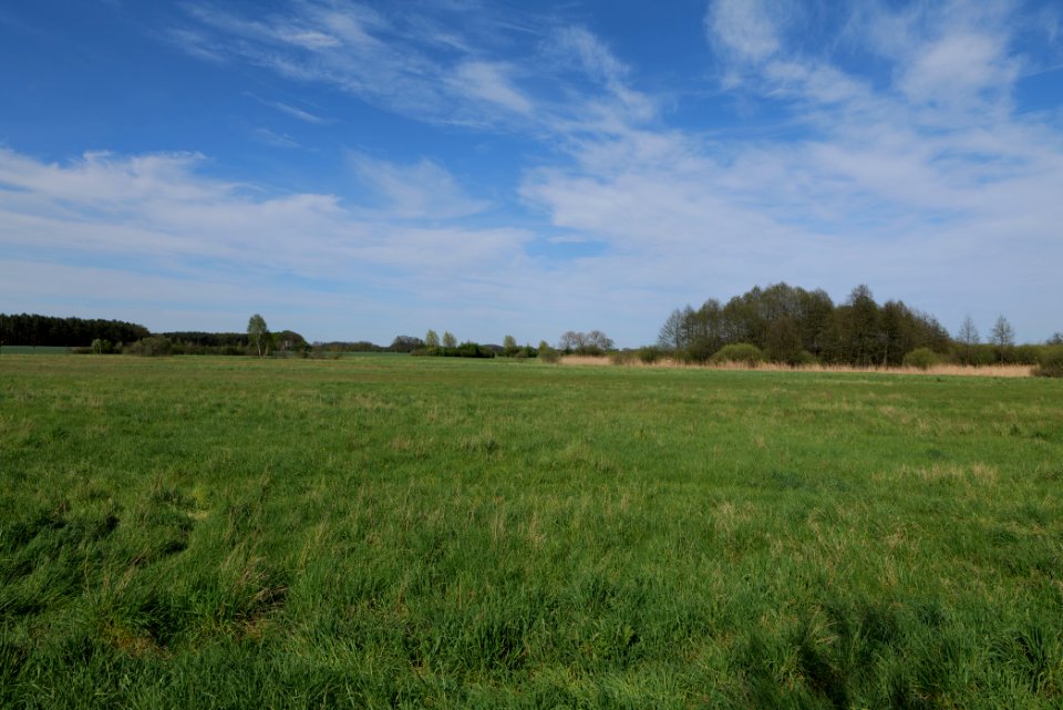 Notte-Niederung 2021-05-09 54