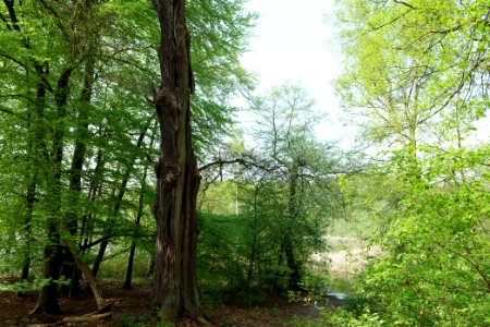 Notte-Niederung 2021-05-11 03