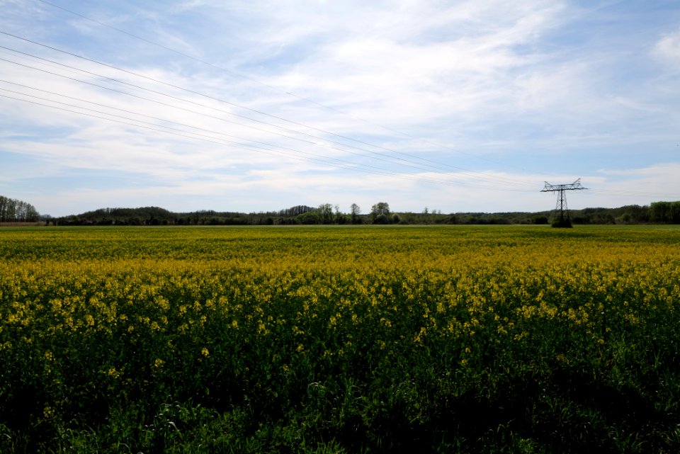 Notte-Niederung 2021-05-09 67