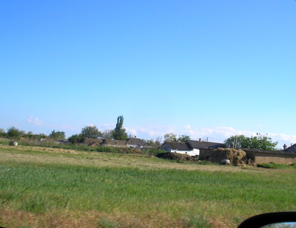 NovoaleksandrovkaKrpr 8