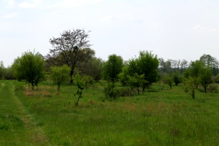 Notte-Niederung 2021-05-11 102