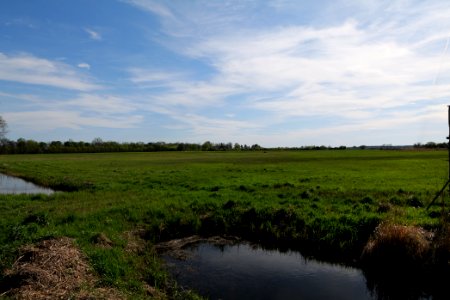 Notte-Niederung 2021-05-09 82