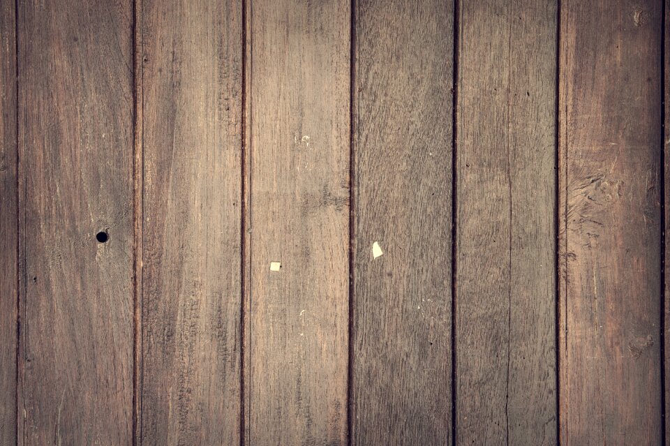 Softwood timber wood