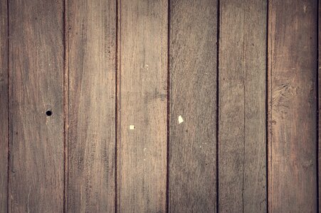 Softwood timber wood