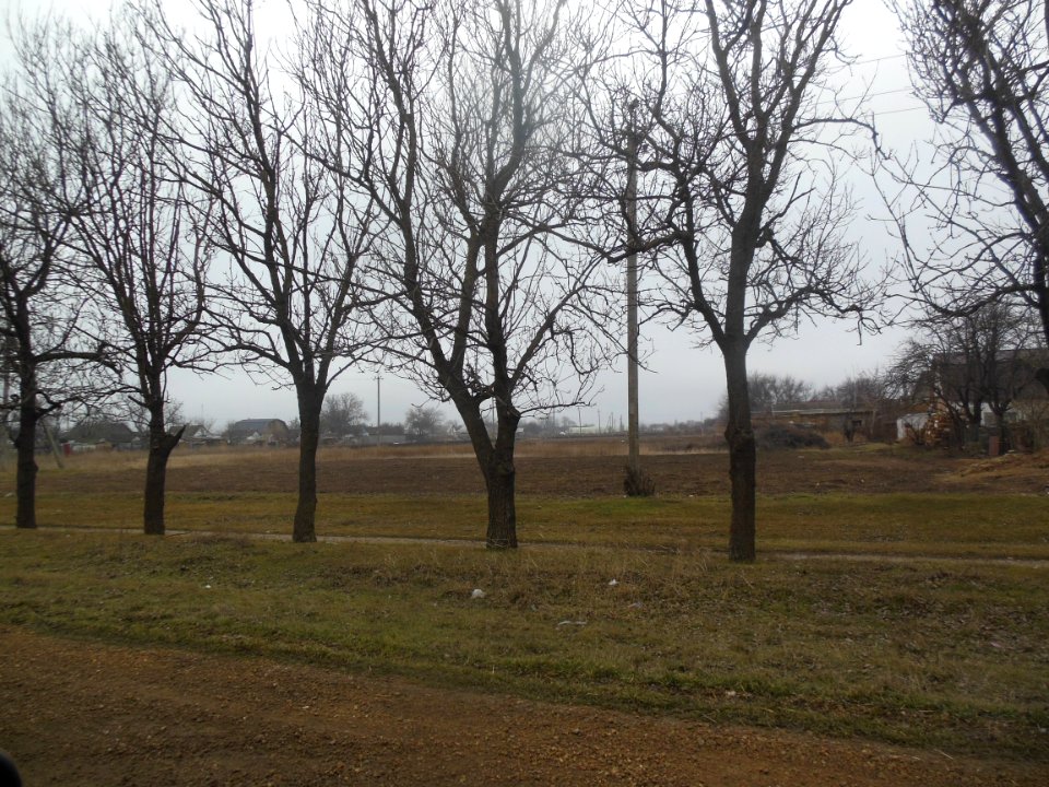 Novoestoniya 9