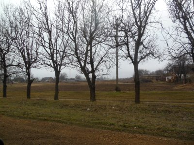 Novoestoniya 9