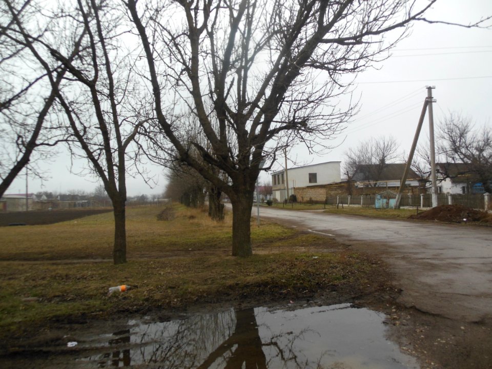 Novoestoniya 5