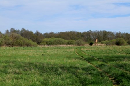 Notte-Niederung 2021-05-09 52