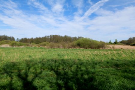 Notte-Niederung 2021-05-09 49