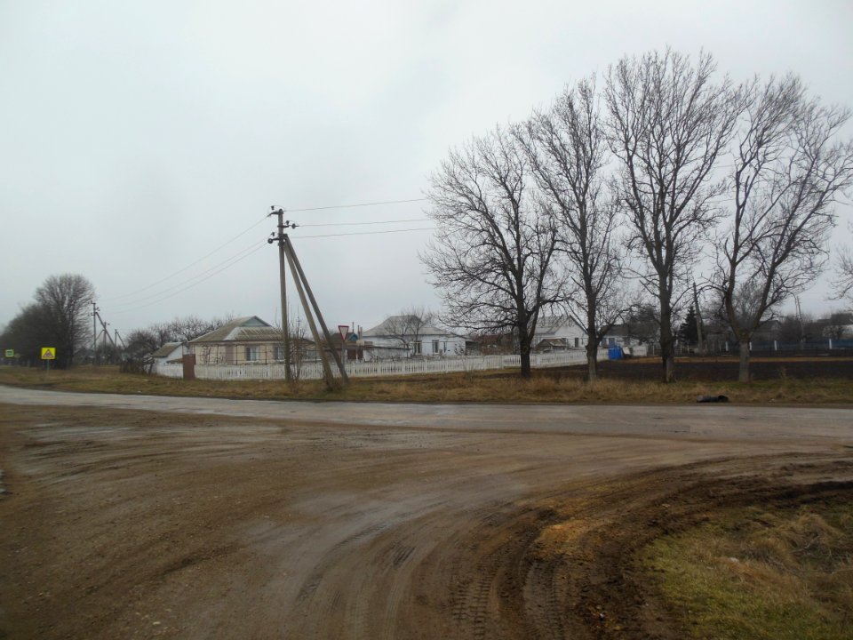 Novoestoniya 2