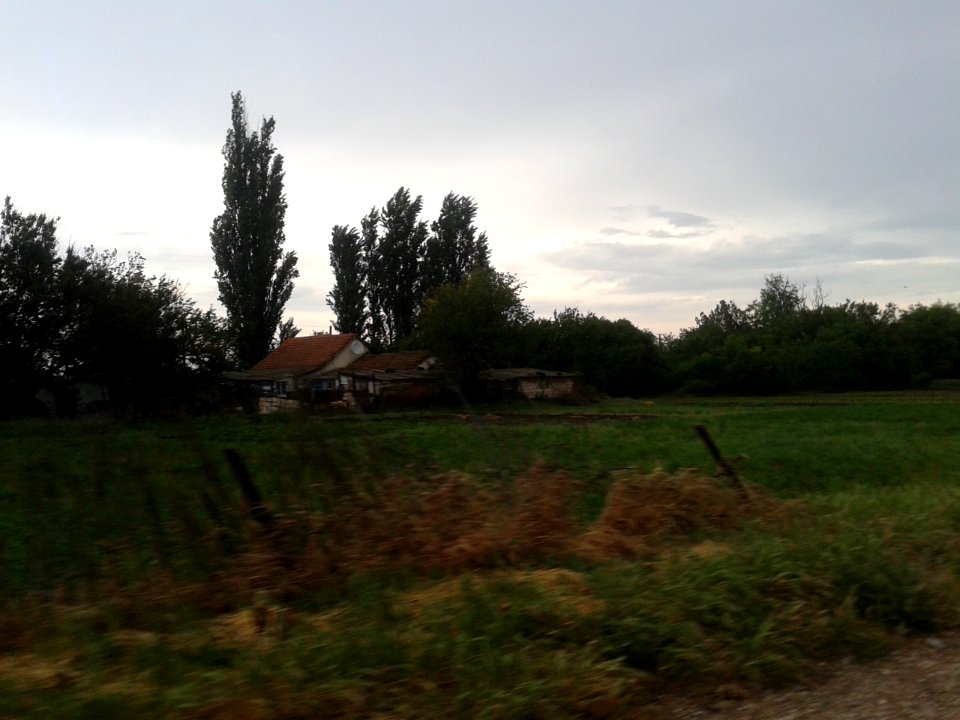 NovokonstantinovkaDz 12