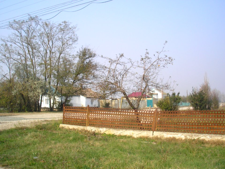 NovogrigoryevkaNizn 6