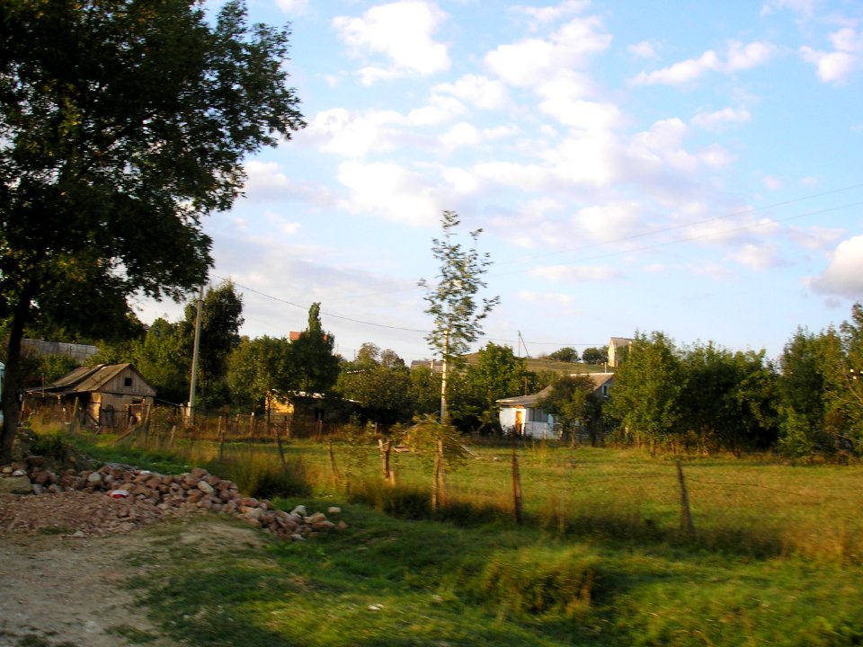 Novobobrovskoe 2