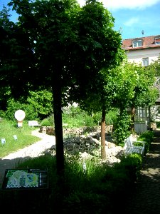 Notre Dame 1 Eichstätt -Garten (3)