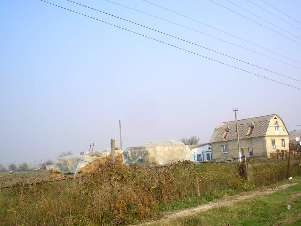 NovogrigoryevkaNizn 8