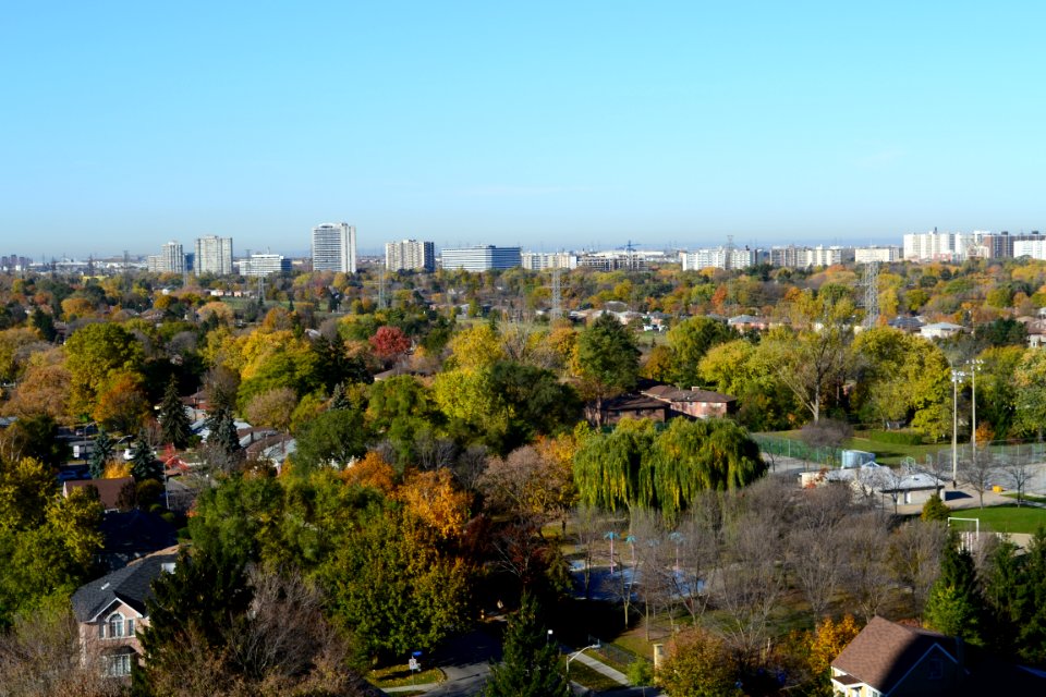NorthYorkSkyline
