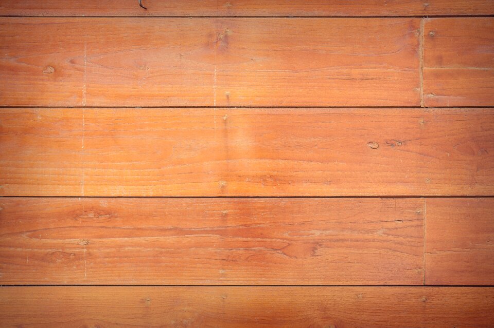 Softwood timber wood