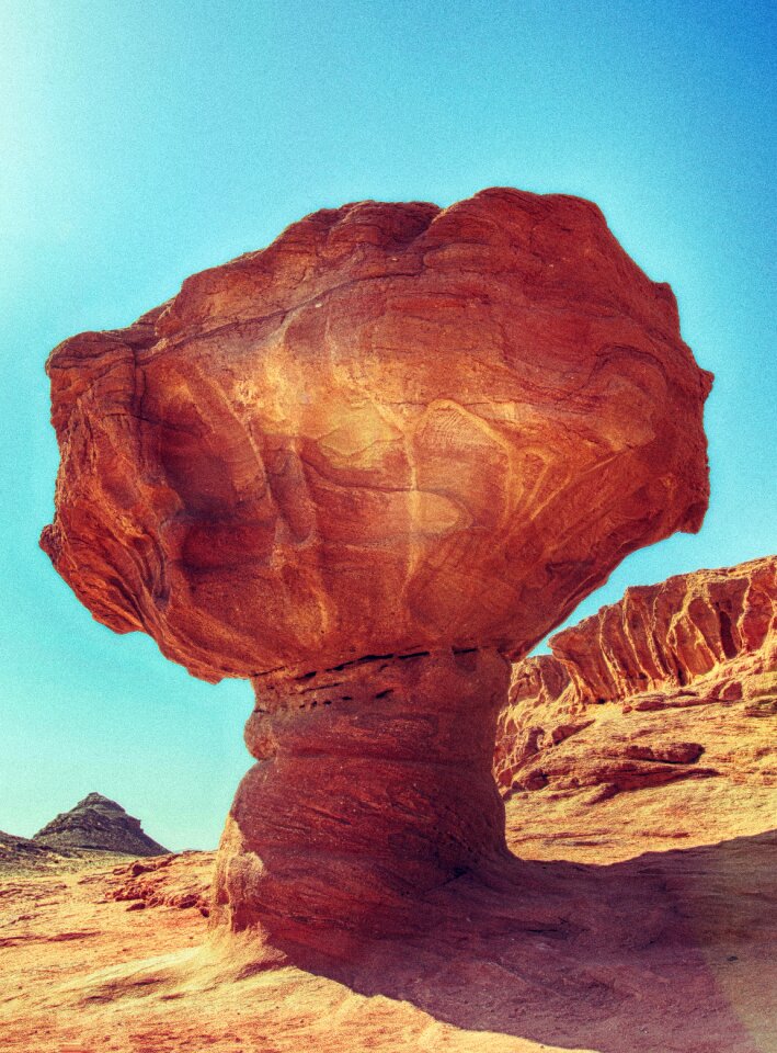 Arava wide brown