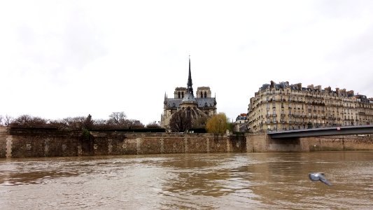 Notre-Dame de Paris depuis l'île Saint-Louis
