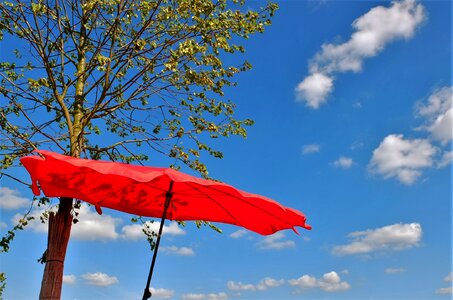 Screen summer parasol