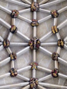 Norwich cathedral, nave roof 02