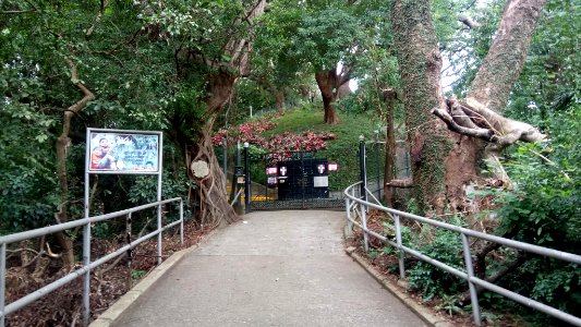 Norwegianschoolhkview