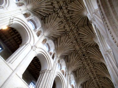 Norwich cathedral, nave roof 01