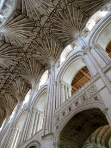 Norwich Cathedral, nave roof 05