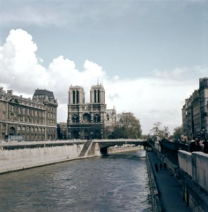 Notre Dame in Parijs, gefotografeerd vanaf de Petit Pont, Bestanddeelnr 255-9982