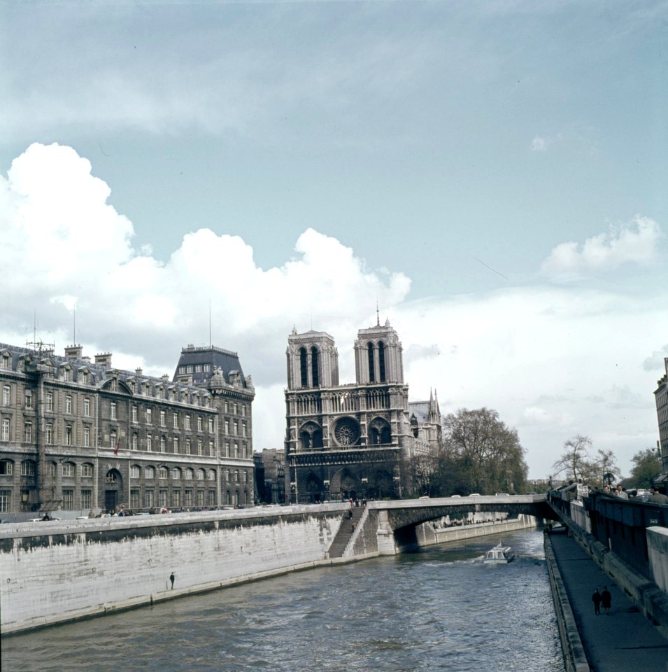 Notre Dame gefotografeerd vanaf de Petit Pont, Bestanddeelnr 255-9980