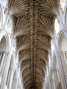 Norwich cathedral, nave roof 03