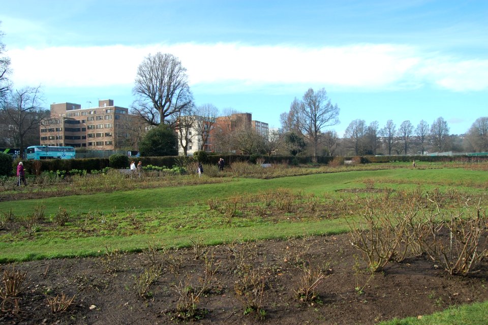 Northwestward view across southern section of Preston Park, Brighton (February 2020)